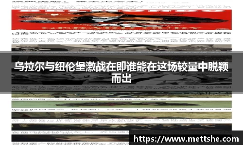 南宫NG·28体育